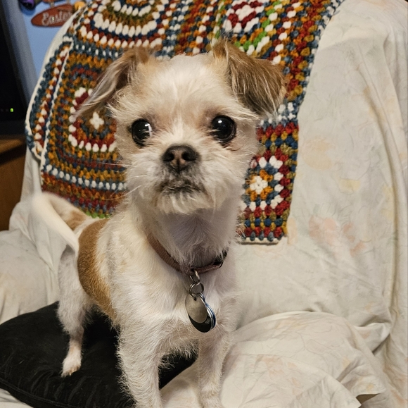 Meet your Posher, Wendy see our pictures - Picture 9 of 16